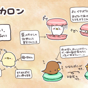 【PFSR】マカロン【生き物】