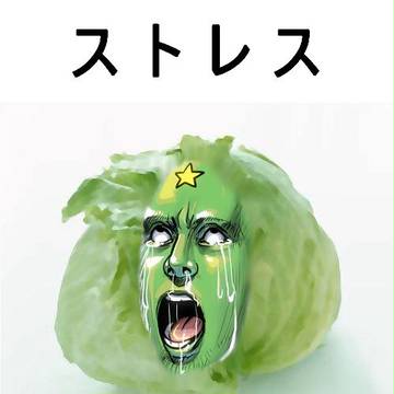 レタス
