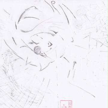 越南产的P280