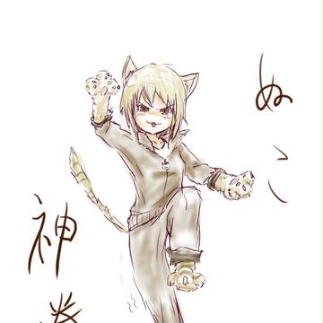 ぬこ神拳
