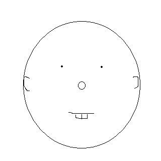 あなたの顔ってこんなでしょ？