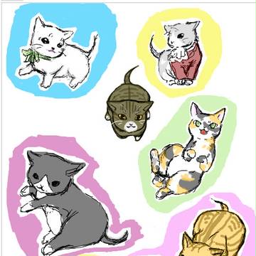 ぬっこぬこ！