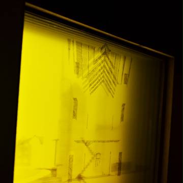 in・sense - pective
