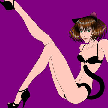 仔猫