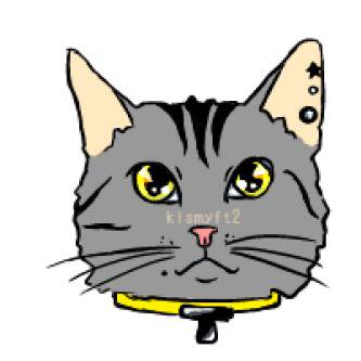 猫玉