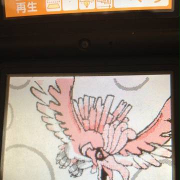 ホウオウ