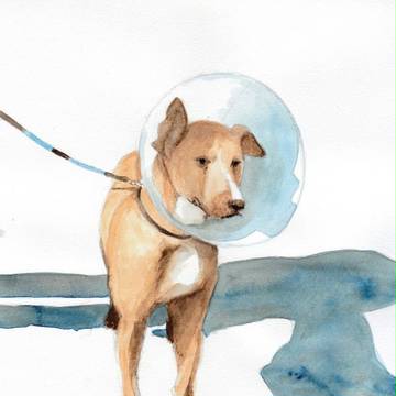 水彩画 「つながれて」