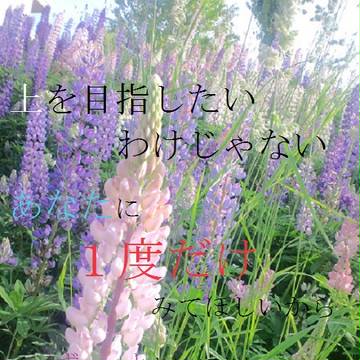 花のつぶやき