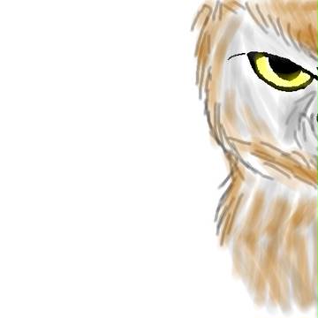 フクロウとか