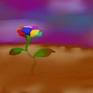願いの花