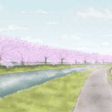 桜並木