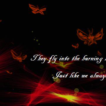moth and the fire 飛蛾撲火