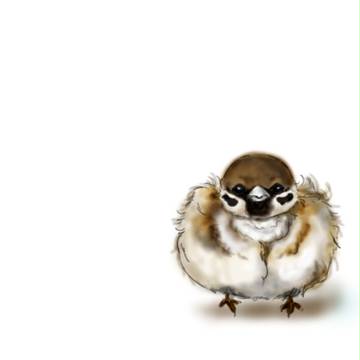 もふりずめ