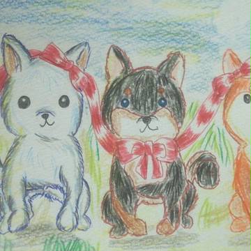 僕らは柴犬3兄弟
