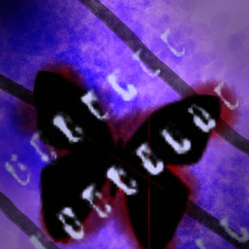小説の表紙
