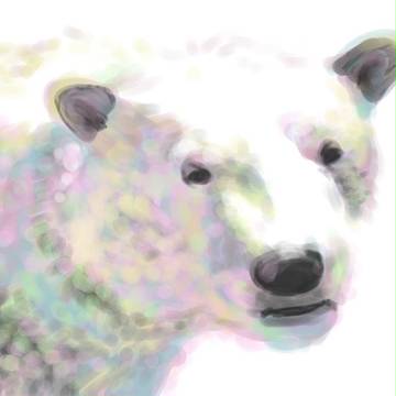 ホキョークグマー