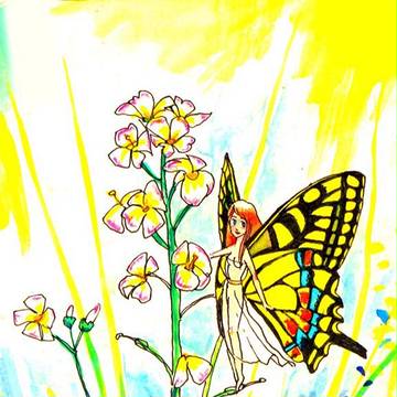 Fairy