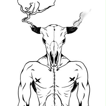 Buffalo skull
