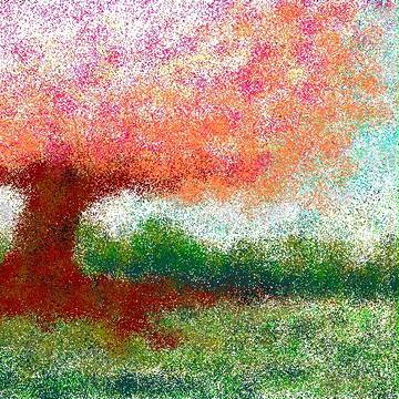 cherry blossom