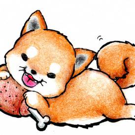 しば