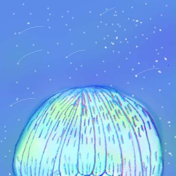 キラキラ