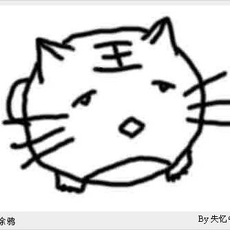 猫1