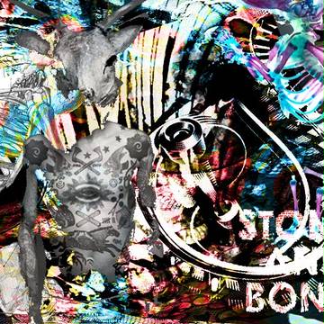 stone and bones