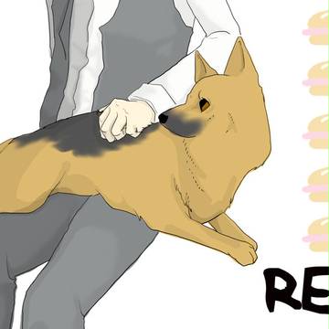 初レックス