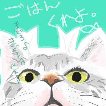 ぬこ２