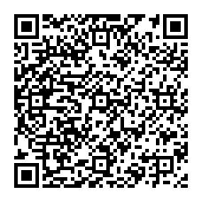 普通の QR コードのような、そうでないような?
