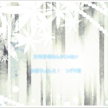 方向音痴では決してない・・はず(?)