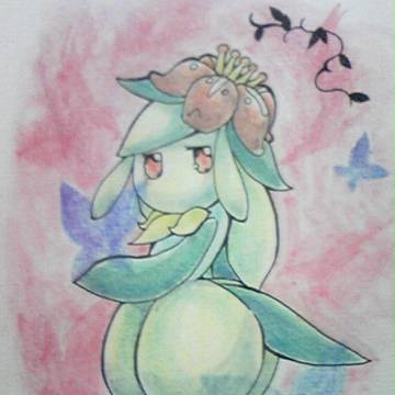 蝶の舞い