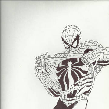 Spiderman Falls