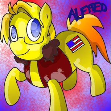 Ameripony | アメリカ ポニー