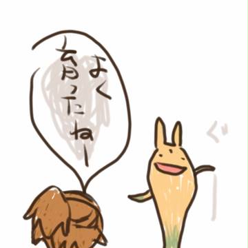 カー栽培