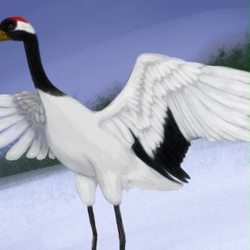 鳥20120616