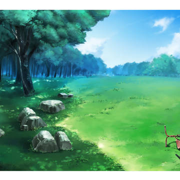 森 日陰 背景