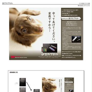 迷子カプセル