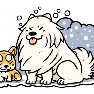 サモエド