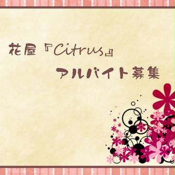 【ぴく夏恋】Citrus【アルバイト募集】