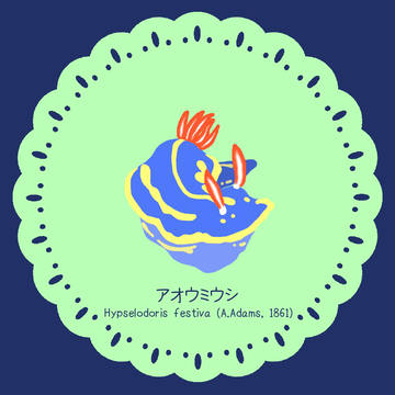ウミウシとレース