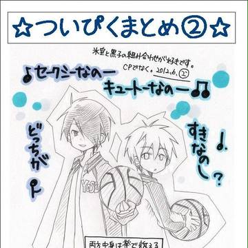 ついぴくまとめ②