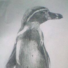 ペンギンさん
