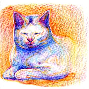 ねむるねこ２