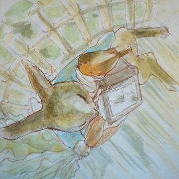夢