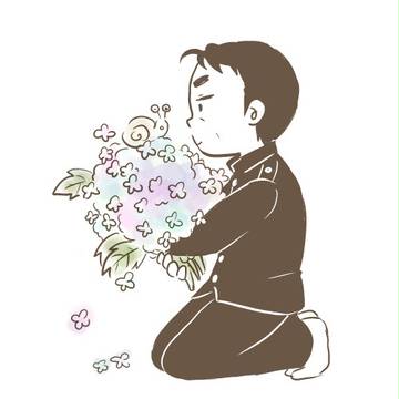あじさい