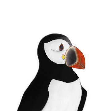 Mr.Puffin