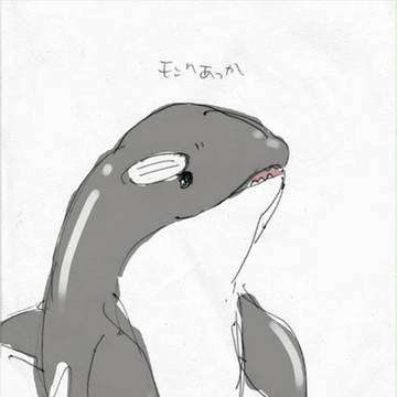 シャチリス