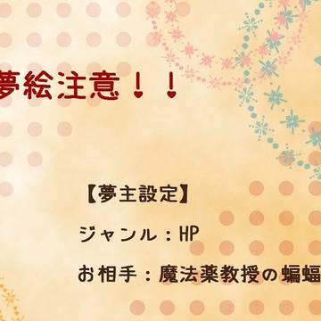 【夢絵注意！】夢主人公【H/P】