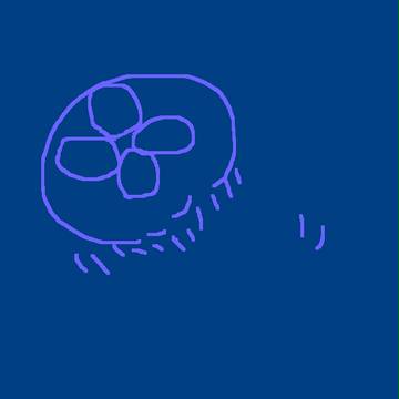 みずくらげ